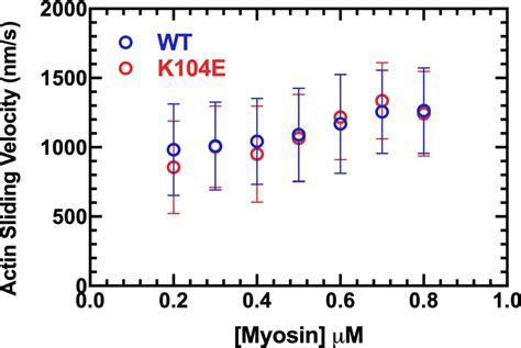 Density Dependence Of In Vitro Motility Of Human Cardiac Myosin