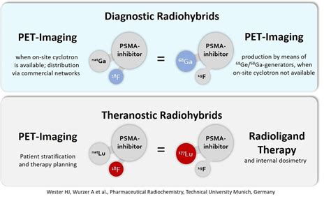 Nuclear Medicine Psma Targeted Study Offers New Options For Cancer