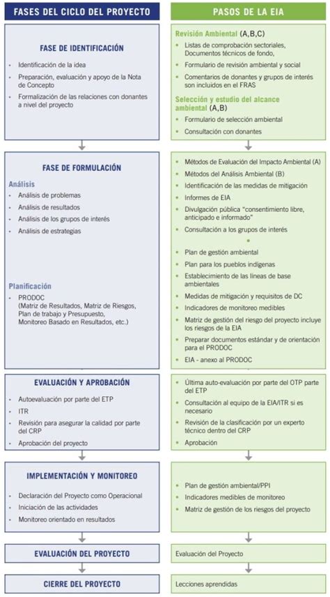 Ejemplo de Estudio de Impacto Ambiental en formato PDF Guía práctica