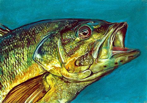 Largemouth Bass Painting at PaintingValley.com | Explore collection of ...