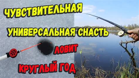Чувствительная универсальная снасть для рыбалки круглый год - YouTube