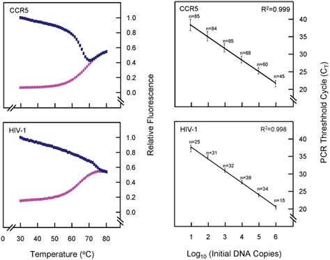 Thermal Denaturation Curves Of The Molecular Beacons And Standard