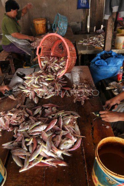 Kerupuk Tulang Ikan Tuna Antara Foto