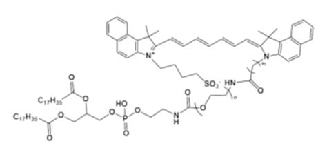 Icg Peg Dspe 吲哚菁绿聚乙二醇磷脂 Icg Peg2000 Dspe Udp糖丨mof丨金属有机框架丨聚集诱导发光丨荧光标记推荐