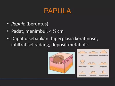 Status Dermatologikus Ppt