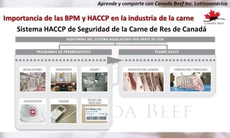 Bpm Y Haccp Canadian Beef