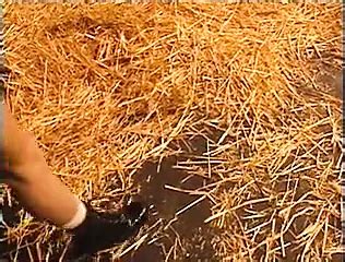 Retro Usa S Threesome Porn Feat Samantha St James XHamster