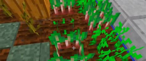 How To Make Beet Soup In Minecraft Web Magazine Today