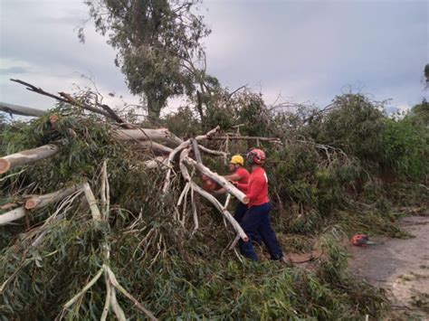 Fortes Chuvas Causam Quedas De árvores Na Br 251 Em Salinas Webterra