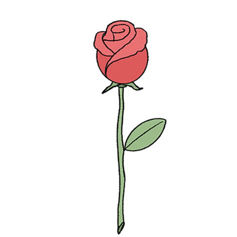 How To Draw Rose Flower Images Best Flower Site