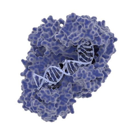 Open Enzyme Collection Open Bioeconomy Lab