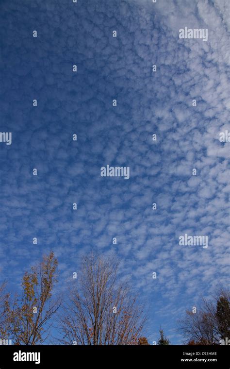 Altocumulus Mackerel sky USA Stock Photo - Alamy