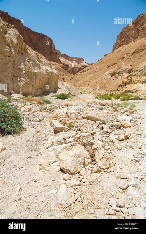 mountains in Israel Stock Photo - Alamy