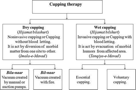 Classification Of Cupping Therapies Download Scientific Diagram