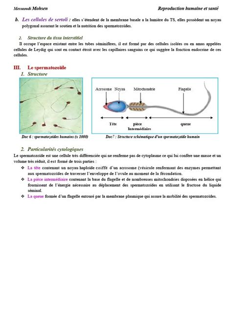 Bac Sc expérimentales Sciences SVT cours 1 bac svt la fonction