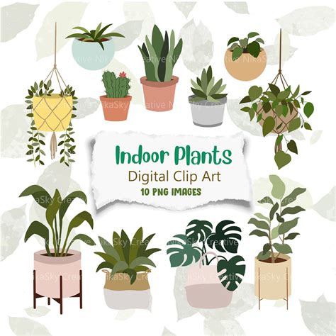 Indoor Plant Clipart