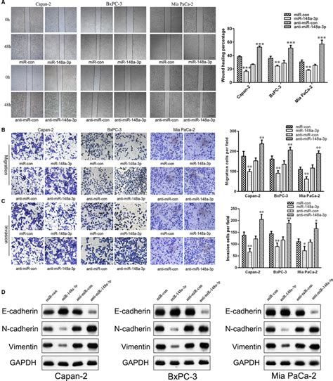 Mir‐148a‐3p Inhibits The Migration And Invasion Of Pc Cells Through