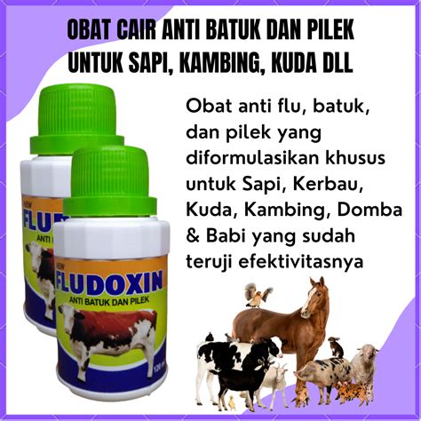 OBAT FLU BATUK PILEK CAIR UNTUK HEWAN TERNAK EFEKTIF MENGOBATI PILEK