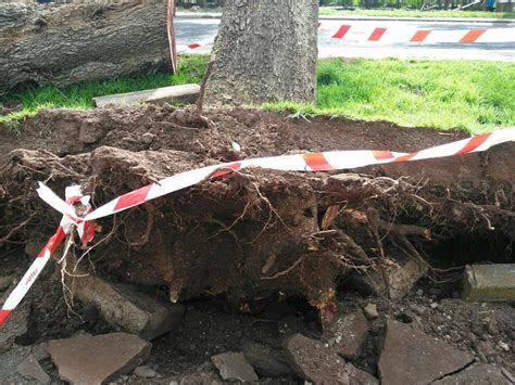 El Gobierno de Canarias finaliza la situación de Alerta por Viento en