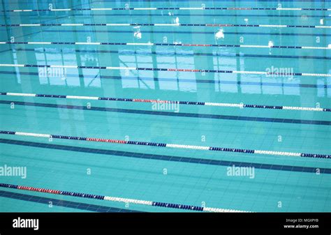 Lanes In A Competition Swimming Pool Stock Photo Alamy