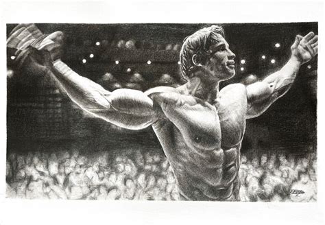 Arnold Schwarzenegger Pencil Drawing Etsy