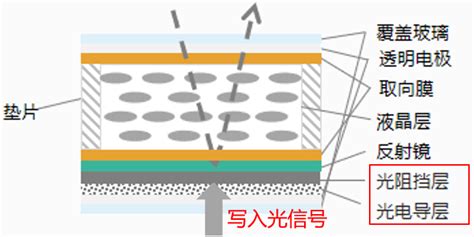 液晶空间光调制器的分类 上海瑞立柯信息技术有限公司，助力科研探索光子奥义