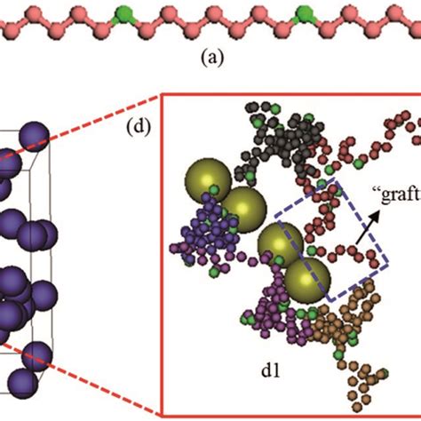 A Coarse Grained Model Of In Chain Functionalized Polymer Where The Download Scientific