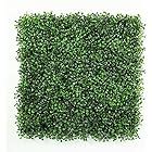 Bybeton Artificial Grass Wall Panels X Pc Uv Anti Boxwood