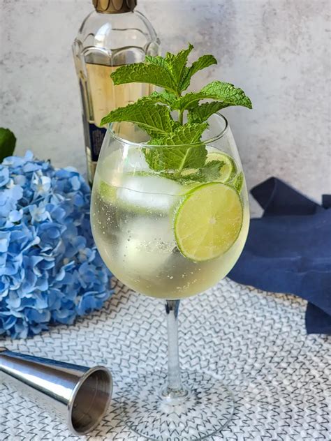 hugo spritz artofit