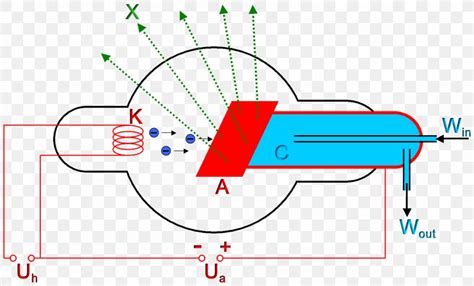 Anode Cathode Diagram