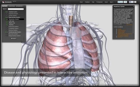 The Biodigital Human Is A 3d Platform That Simplifies The Understanding