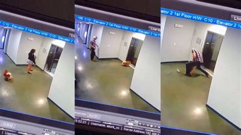 Video Un Hombre Salva A Un Perro De Asfixiarse Con Su Correa En Un