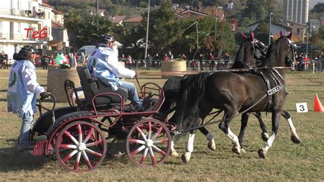 Gara Su Carrozza Sportiva Con Pariglia Di Cavalli Abbinata A Caravino