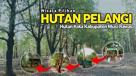 Wisata Pilihan Di Kabupaten Musi Rawas Hutan Pelangi Kota Kabupaten