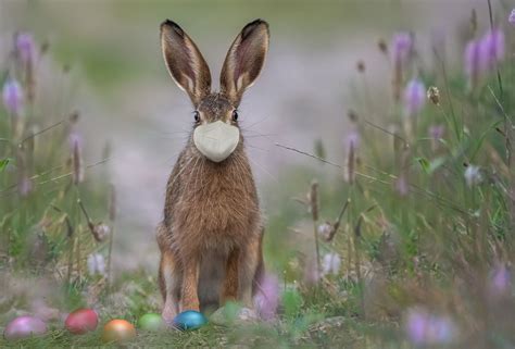 Una Pasqua In Zona Rossa