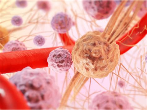 pengertian jaringan ikat longgar  fungsinya kumparancom