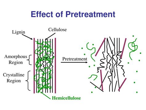 Ppt Design And Scale Up Of Corn Fiber And Corn Stover Pretreatment