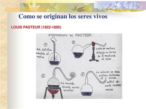 ORIGEN DE LOS SERES VIVOS Ppt Descargar