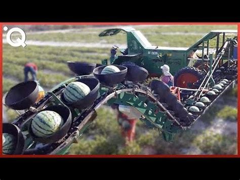 Modern Agriculture Machines That Are At Another Level 6 Videos