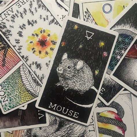 WU Animal Spirit Oracle Three Card Spread Video Oracle Card Reading ...