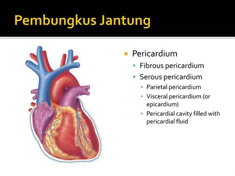 Asuhan Keperawatan Pada Gangguan Sistem Kardiovaskuler Ppt