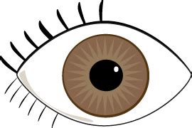 Clip art brown eyes clipart – Clipartix