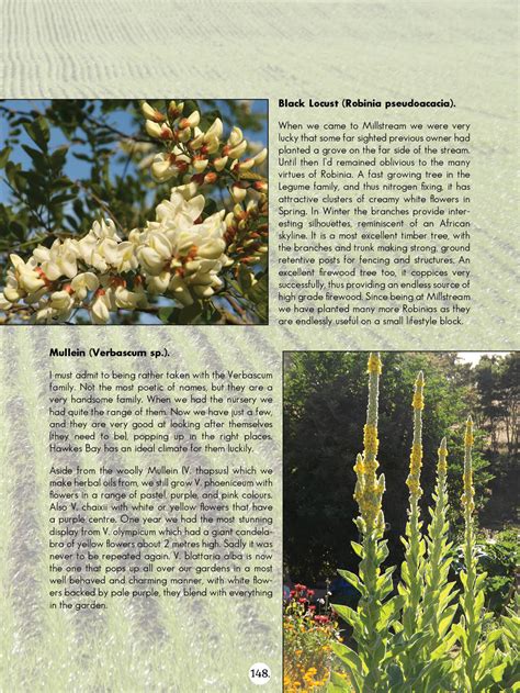 Millstream eBook on USB | Millstream Gardens