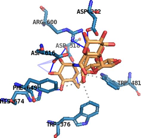 Acarbose Interacting With Active Site Residues Of Glucosidase Pdb