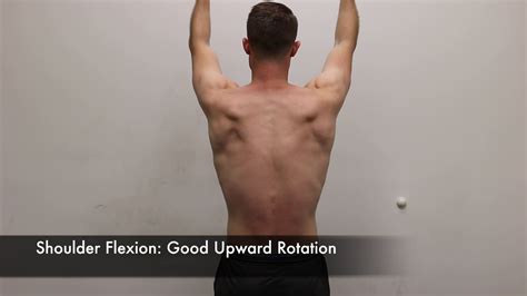 Shoulder Flexion Good Upward Rotation Youtube