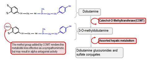 Dobutamine Chemical Structure