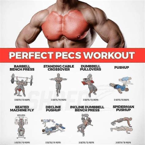 @workout__ability on Instagram: “Perfect chest pecs workout for yours 🔥 ...