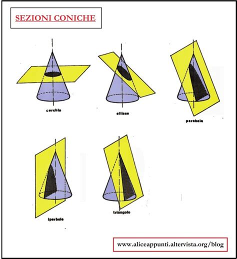 Sezioni Del Cono In Proiezioni Ortogonali