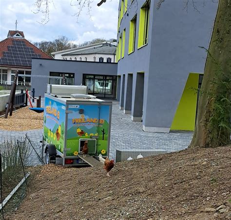 H Hner In Der Grundschule Grundschule Bleibergquelle