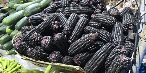 What did the ancient Aztecs eat and drink? - History Skills